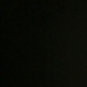 Meet your Posher, Bayley